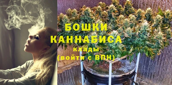 метадон Богданович