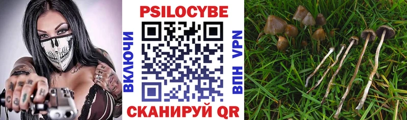 Псилоцибиновые грибы Magic Shrooms  купить   мега зеркало  Воскресенск 